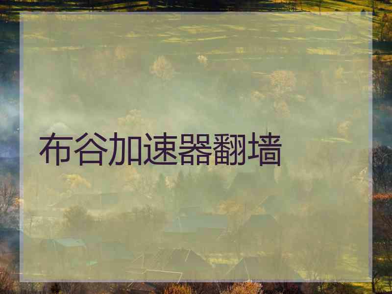 布谷加速器翻墙