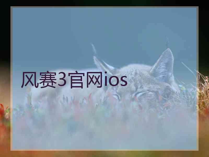 风赛3官网ios