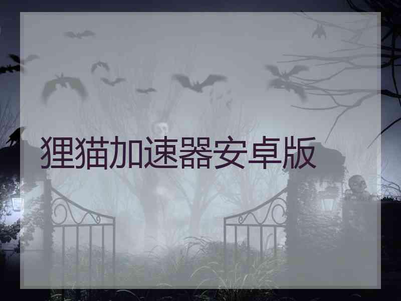 狸猫加速器安卓版
